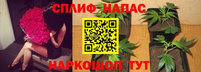 метадон Будённовск