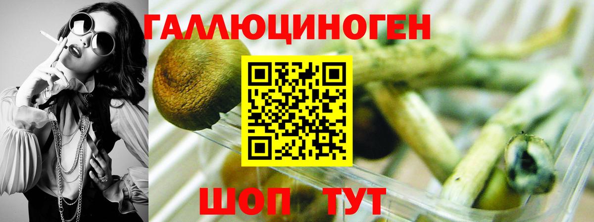 Полысаево  Галлюциногенные грибы Cubensis  купить наркотик  Вход с VPN 