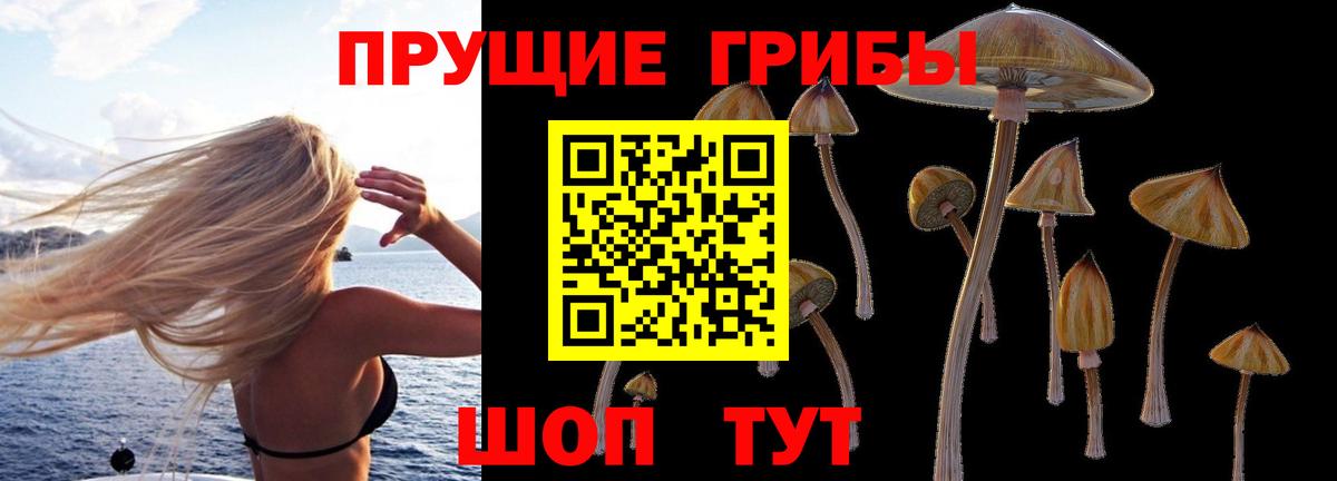 Псилоцибиновые грибы прущие грибы Полысаево